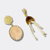 Natural Jellyfish Earrings | Gold - Muze Earrings
