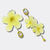 Yellow Festival Earrings | Gold - Muze Earrings
