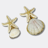 White Cockle Starfish Earrings | Gold