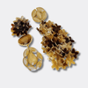 Beige Cognac Flowers Earrings | Gold - Muze Earrings